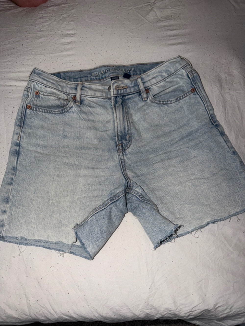 American Eagle Outfitters Light Blue Denim Jean Shorts